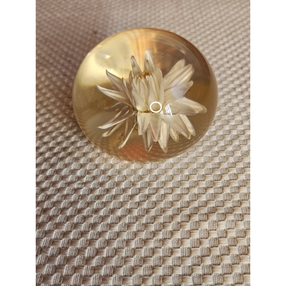 Vintage Tarax Infinity Products Lucite Paperweight Real Preserved White Flower